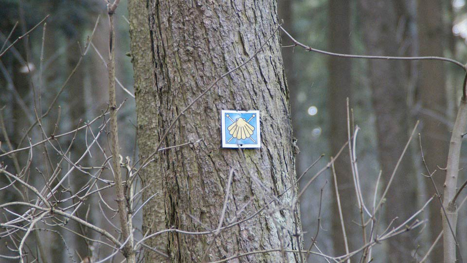 Camino de Santiago Sign